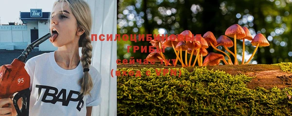 скорость Алексеевка