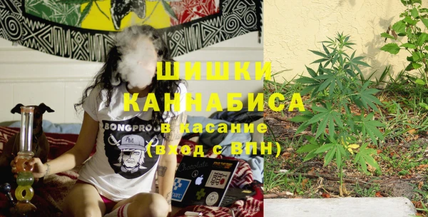 PSILOCYBIN Абаза
