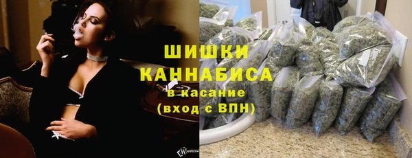 сатива Каменск-Шахтинский
