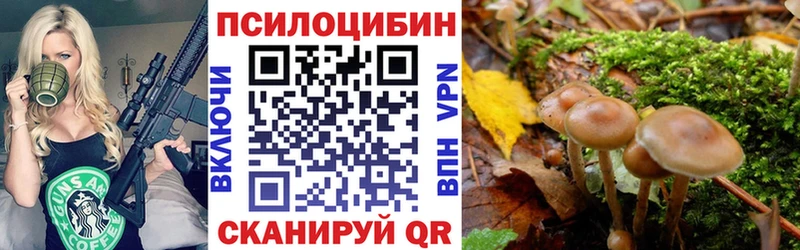 Псилоцибиновые грибы MAGIC MUSHROOMS  Бежецк 