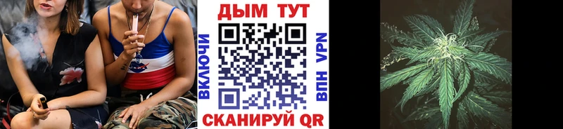 где продают наркотики  Бежецк  Бошки Шишки план 